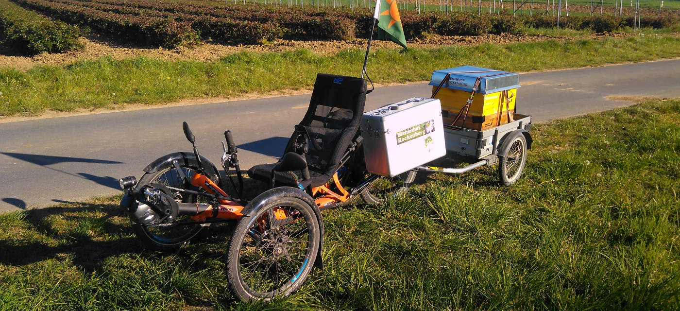 Bienenvolk auf Fahrradanhänger