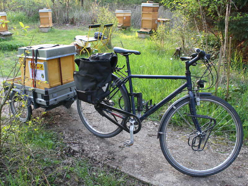 Fahrradimkerei - Bienenvolk auf Fahrradanhänger.